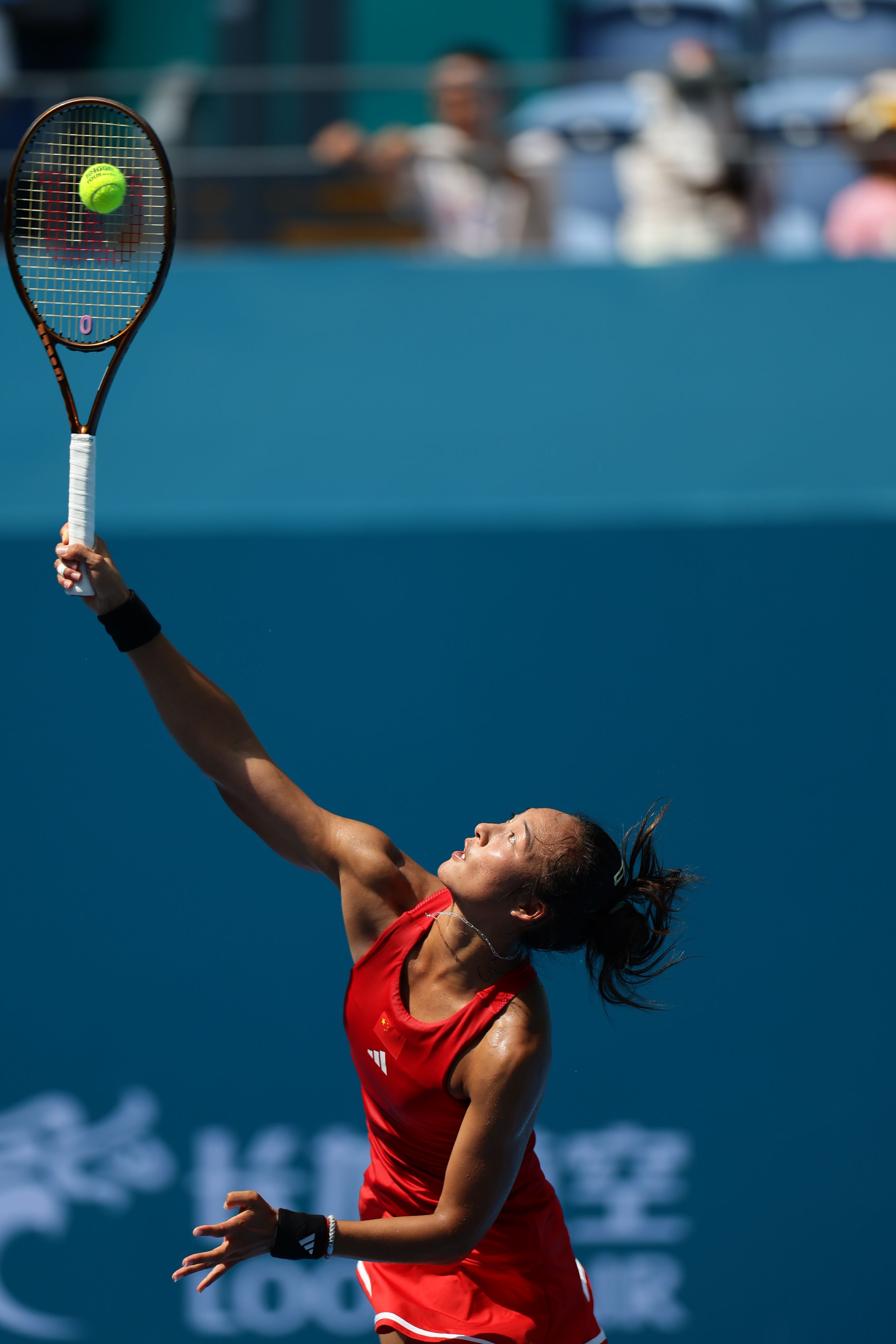 媒体生态中 媒体生态中