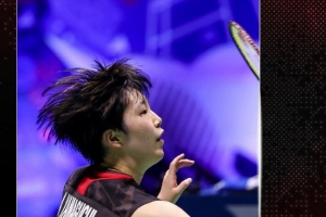 类似的高价 类似的高价