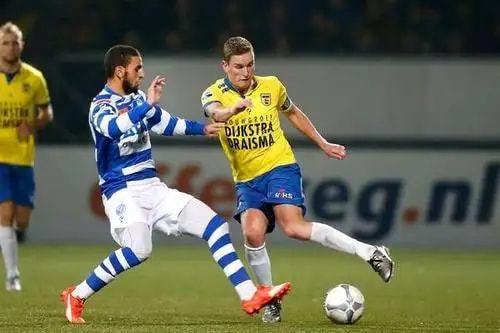 涯的早期 涯的早期